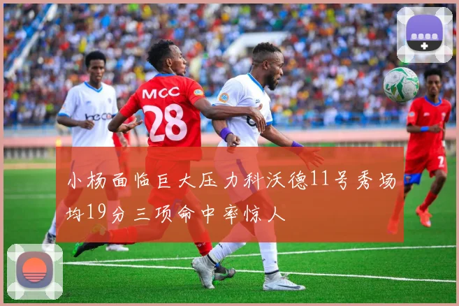 小杨面临巨大压力科沃德11号秀场均19分三项命中率惊人