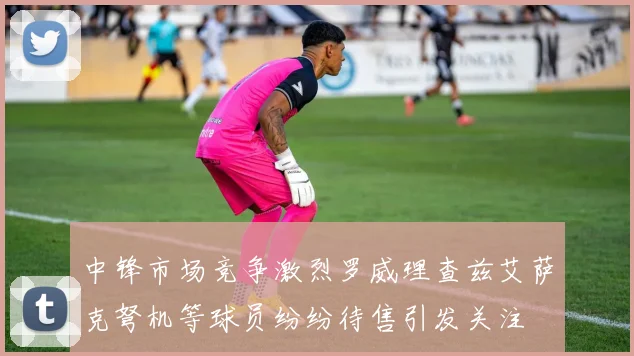 中锋市场竞争激烈罗威理查兹艾萨克弩机等球员纷纷待售引发关注