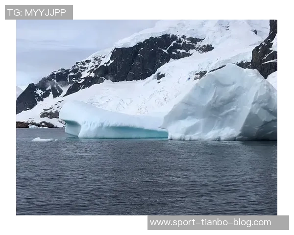 迪尼批评麦克拉伦辞职不真诚称此举将给牙买加队带来更多困扰与挑战